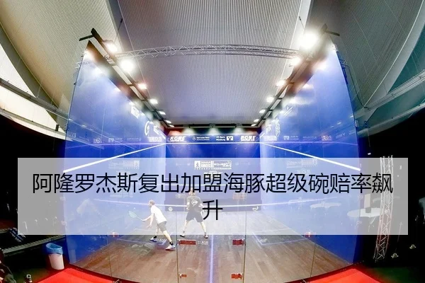 阿隆罗杰斯复出加盟海豚超级碗赔率飙升